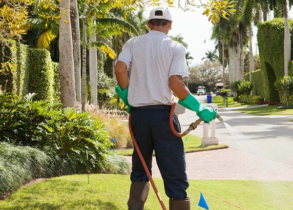 About Spotsylvania VA Pest Control